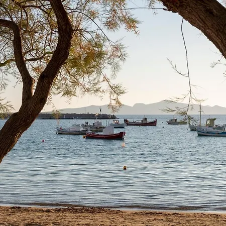 Aparthotel Vg Aliki (Paros)